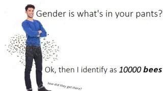 Gender Is What's In Your Pants meme card, common rarity
