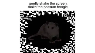 Gently Shake The Screen, Make The Possum Boogie meme card, common rarity