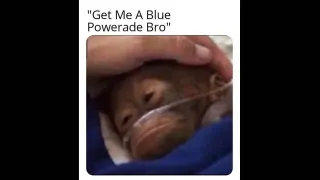 Carte meme Get Me A Blue Powerade Bro, rareté commune