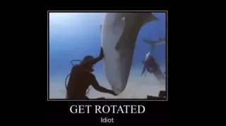 Carte meme Get Rotated Idiot, rareté commune