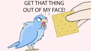 Get That Thing Out Of My Face! meme card, common rarity