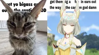 Get Them Bigass Ears Out Of The Caption meme card, common rarity