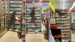 Giant Lizard Climbing Supermarket Shelves meme card, rare rarity