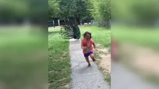 Girl Running From a Peacock meme card, common rarity