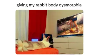 Giving My Pet Body Dysmorphia meme card, common rarity