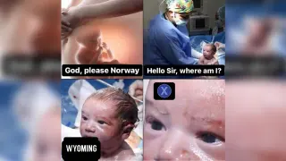 God, Please Norway meme card, common rarity