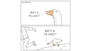 Goose Chasing Guy meme card, common rarity