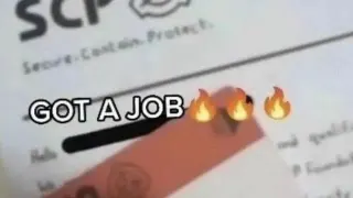 Carte meme Got a job 🔥🔥🔥, rareté commune