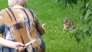 Grandma Hiding Knife From Rabbit meme card, common rarity