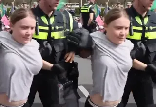 Greta Thunberg Breasts Photoshop meme card, common rarity