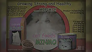 Growing Strong and Healthy .....MINMO! meme card, common rarity