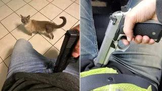 Gun Owners Pointing Guns At Their Crotches meme card, common rarity