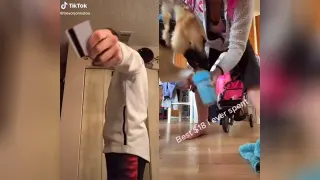 Guy Slamming Credit Card meme card, common rarity
