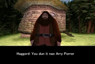 Carte meme Haggord / "You Dun It Nao Arry Porrer", rareté rare