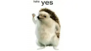 Haha Yes Hedgehog meme card, common rarity