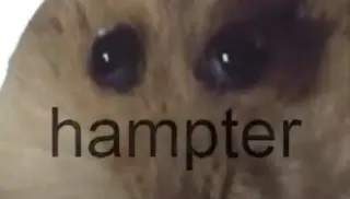 Hampter meme card, rare rarity