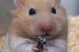 Hamster Holding Gun / Hurt Hammy meme card, common rarity