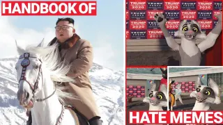 Carte meme Handbook of Hate Memes, rareté commune