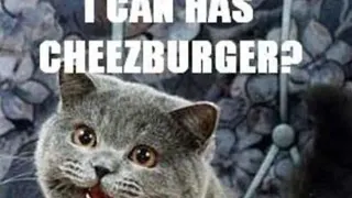 Happy Cat meme card, epic rarity