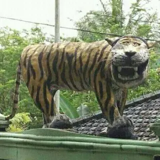 Harimau Lucu meme card, common rarity