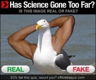 Carte meme La Science Est-elle Allée Trop Loin ?, rareté épique