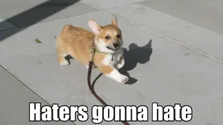 Haters Gonna Hate meme card, epic rarity