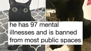 He Has 97 Mental Illnesses meme card, common rarity