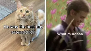 He Was The Best Guy Around meme card, rare rarity