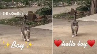 Carte meme Here Comes The Boy, Hello Boy, rareté rare