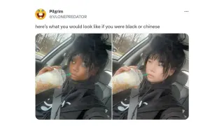 Here's What You Would Look Like If You Were Black or Chinese meme card, epic rarity