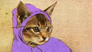 Hipster Kitty meme card, rare rarity