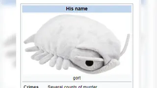 His Name Gort meme card, common rarity