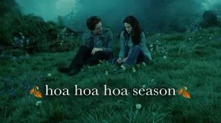 Hoa Hoa Hoa Season meme card, common rarity