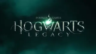 Hogwarts Legacy meme card, common rarity