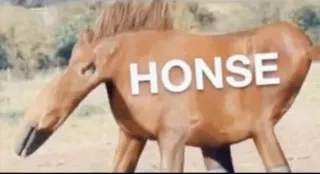 Honse meme card, rare rarity