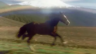 Carte meme Horse Running Past Mountain / 3 Coffees No Lunch, rareté commune