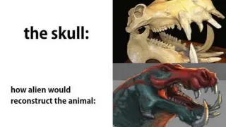 How Aliens Would Reconstruct The Animal meme card, common rarity