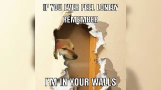 Carte meme I Am Living in Your Walls, rareté rare