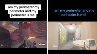 I Am My Perimeter And My Perimeter Is Me meme card, rare rarity