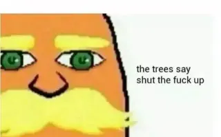 I Am The Lorax I Speak For The Trees meme card, rare rarity