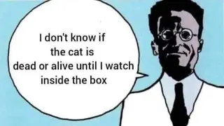 I Don't Know If the Cat Is Dead or Alive Until I Watch Inside the Box meme card, common rarity