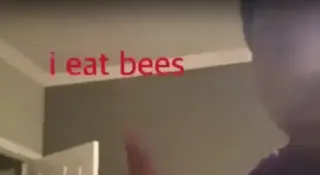 I Eat Bees meme card, common rarity