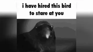Carte meme I Have Hired X to Stare at You, rareté commune