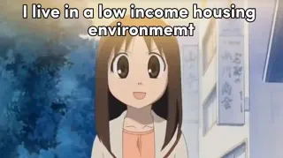I Live In a Low Income Housing Environment That Goes by the Government Name of S... meme card, rare rarity