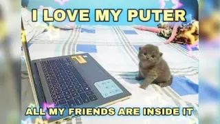 I Love My Puter / I Hate My Puter meme card, common rarity