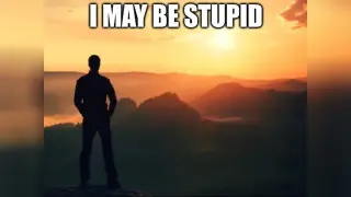 I May Be Stupid meme card, common rarity