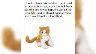 I Used To Have This Plushie That I Used To Pour Milk On And Suck The Milk Back Out meme card, rare rarity