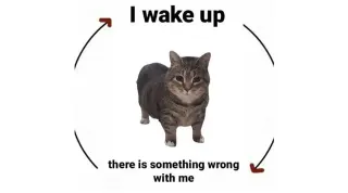 I Wake Up / There Is X meme card, common rarity
