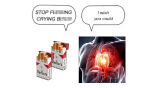 I Wish You Could- STOP FUCKING CRYING BITCH meme card, common rarity