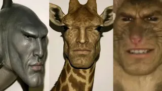 If Humans Evolved From Different Animals meme card, common rarity